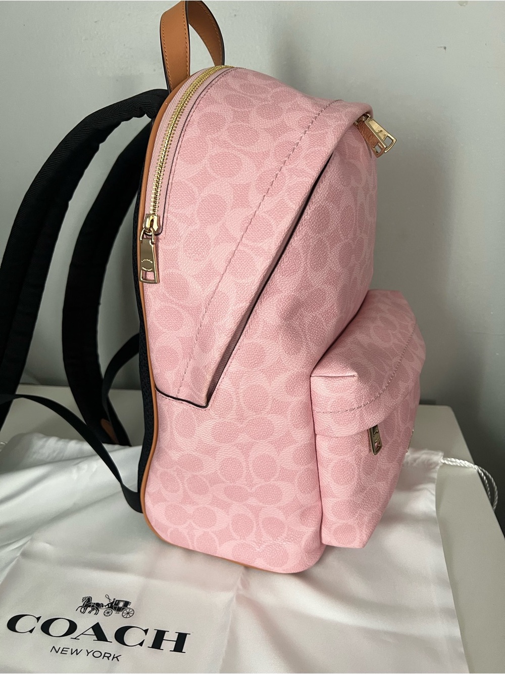 Coach Taylor Backpack In Powder Pink Color - Picture 10 of 13